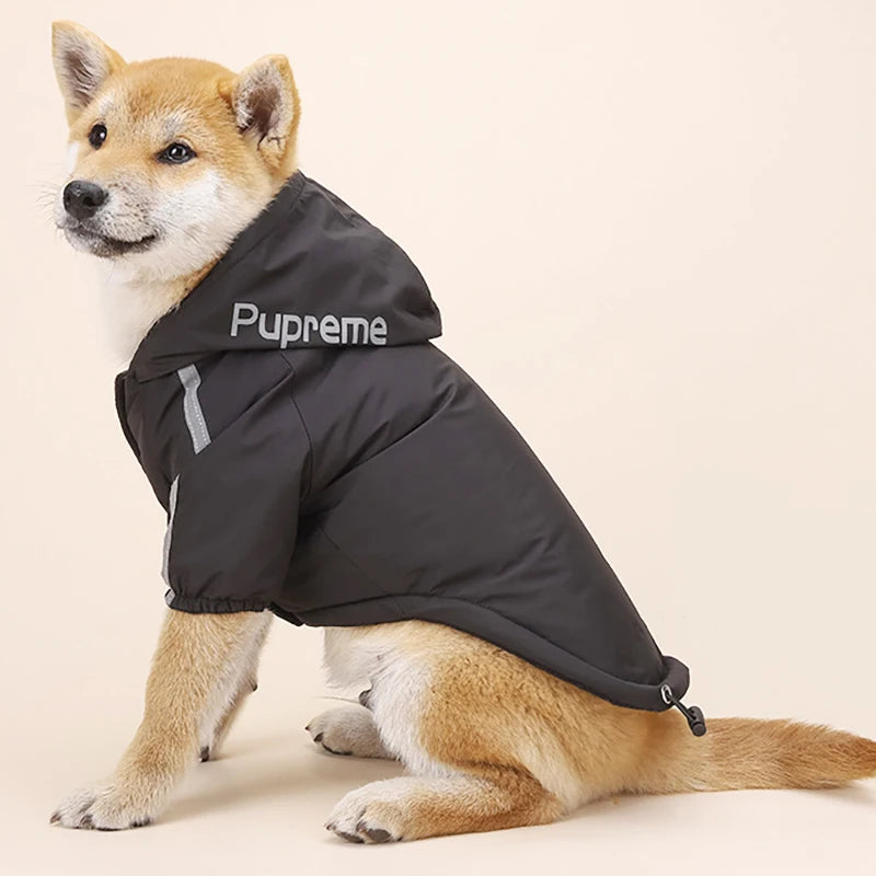 🐶 Waterproof Dog