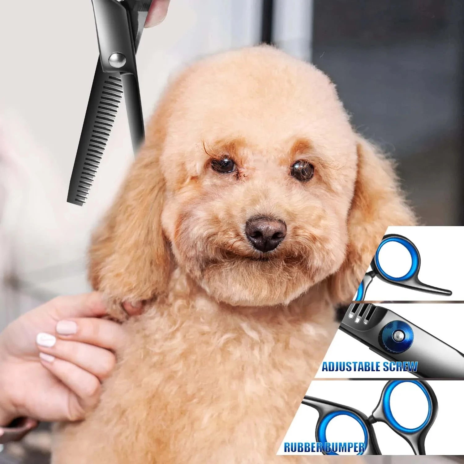Tesouras para Tosa de Cães Premium com Revestimento de Titânio e Pontas Arredondadas de Segurança - Kit de Qualidade Profissional para Aparar com Precisão e Segurança