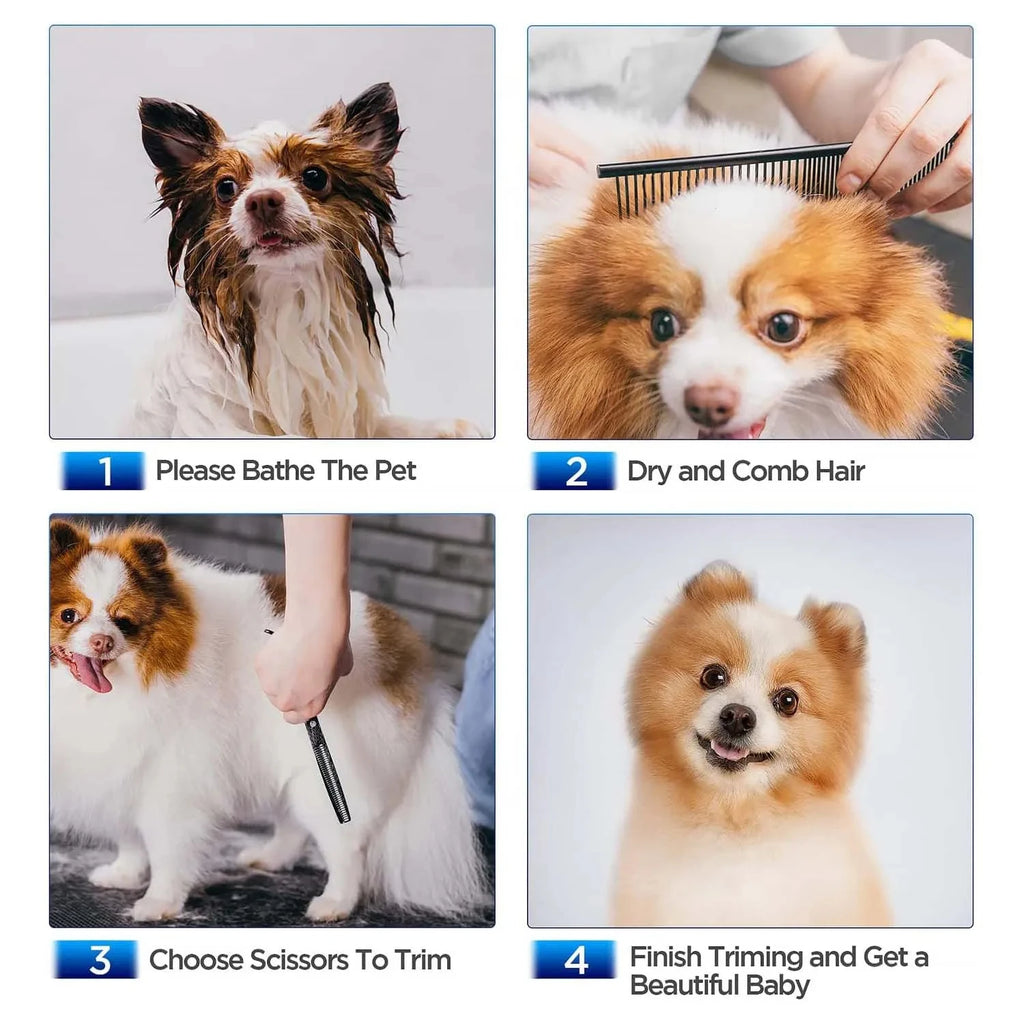 🐶 Professional Dog Grooming