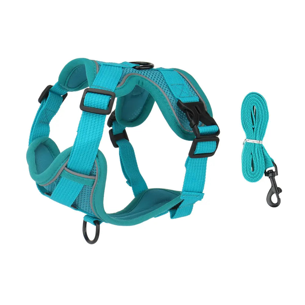 Conjunto de Coleira e Peitoral Refletivos para Cães Peitoral Tipo Colete para Filhotes de Cães Pequenos e Médios Acessórios para Treinamento ao Ar Livre