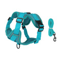 Conjunto de Coleira e Peitoral Refletivos para Cães Peitoral Tipo Colete para Filhotes de Cães Pequenos e Médios Acessórios para Treinamento ao Ar Livre