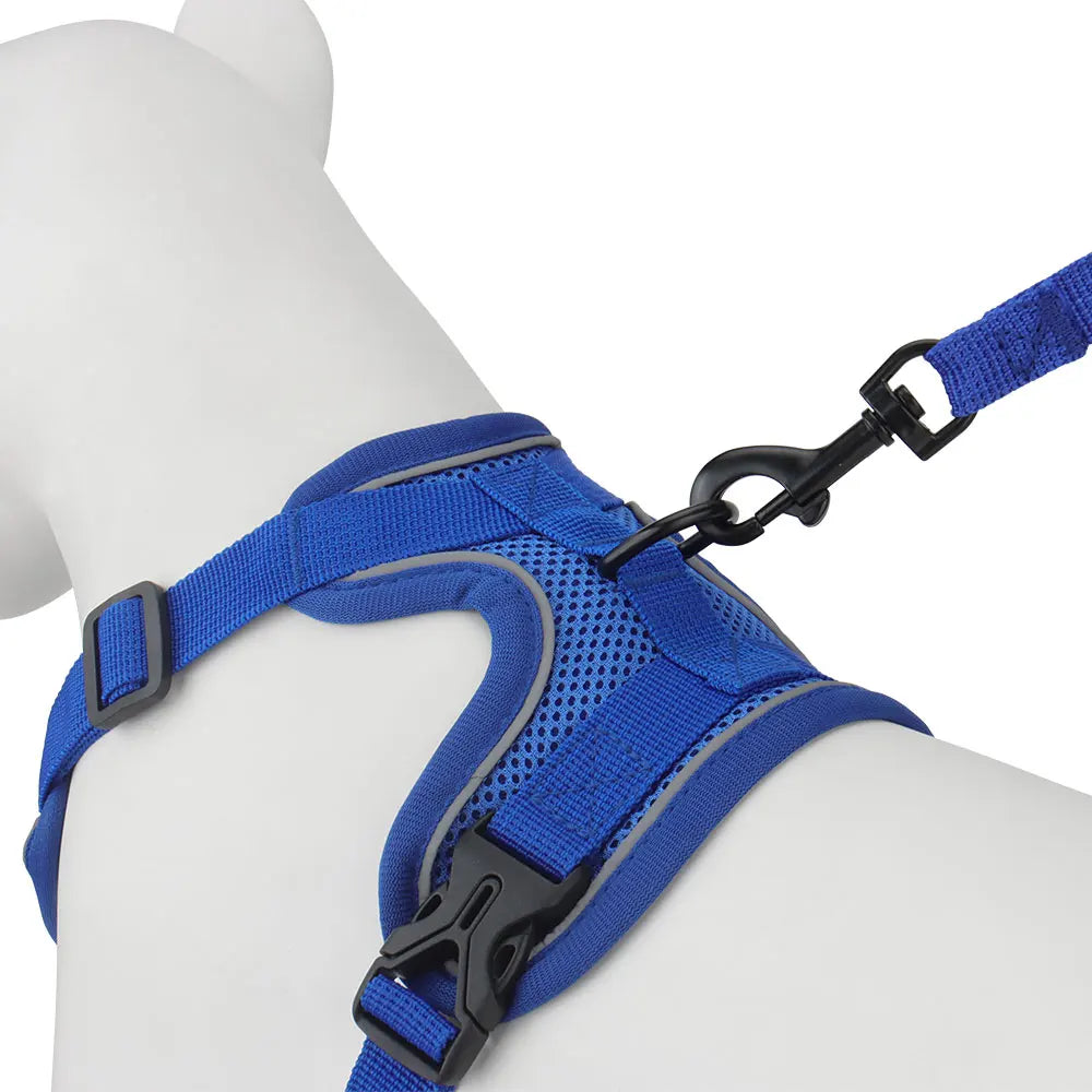 Conjunto de Coleira e Peitoral Refletivos para Cães Peitoral Tipo Colete para Filhotes de Cães Pequenos e Médios Acessórios para Treinamento ao Ar Livre