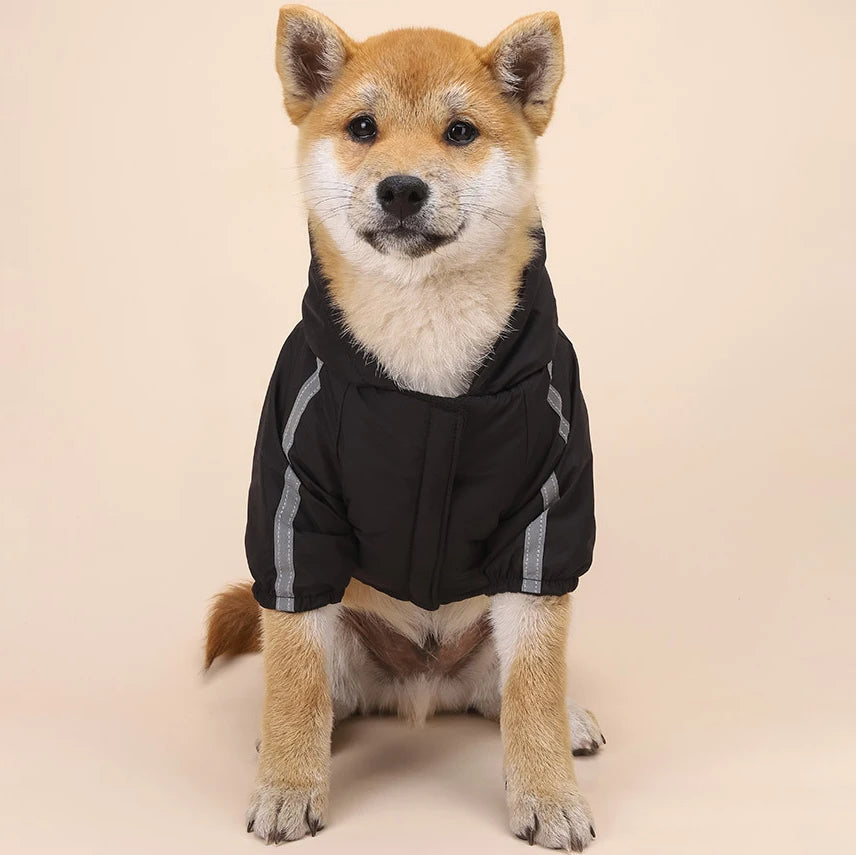 🐶 Waterproof Dog