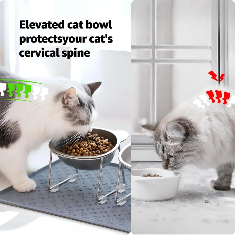 🐱 Elevated Stainless Steel Cat Bowl