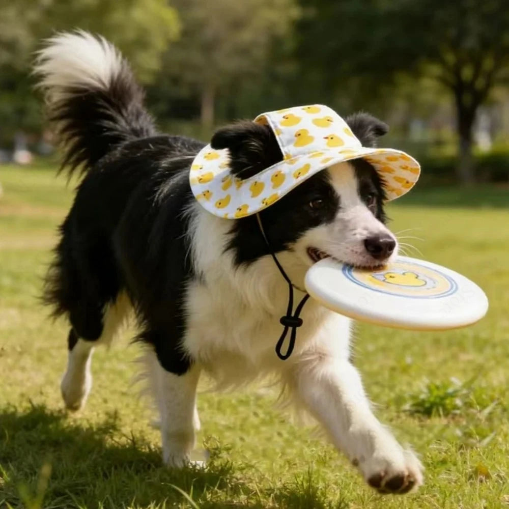 🐶 Dog Harness with