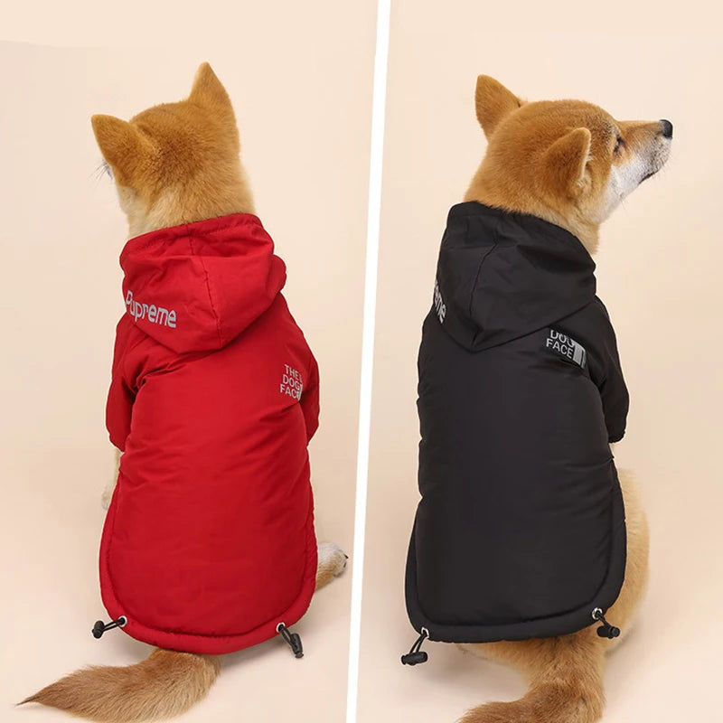 🐶 Waterproof Dog