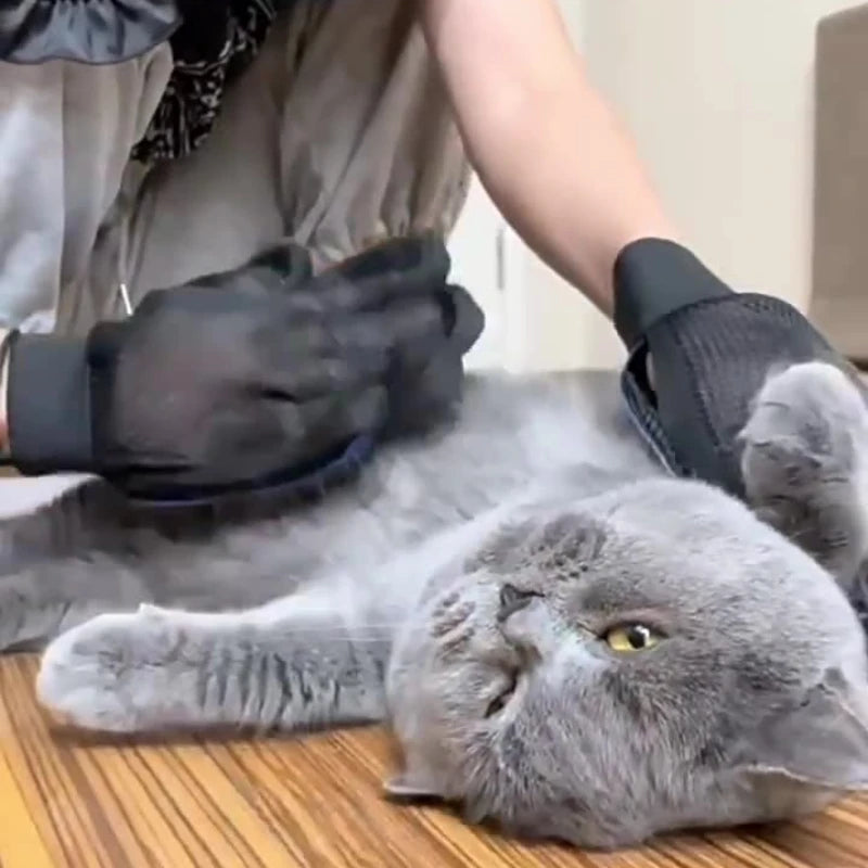 🐶 Pet Hair Removal Glove for Dogs &amp; Cat