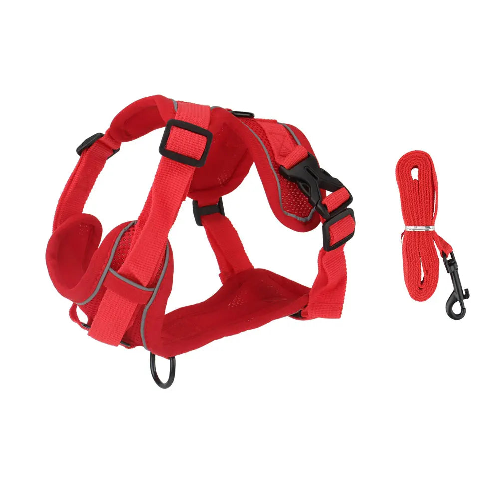 🐶 Dog Harness with