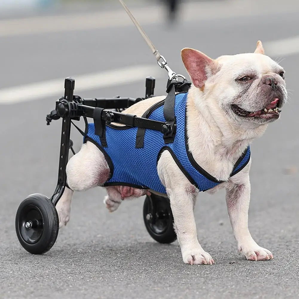 1 Peça Cadeira de Rodas para Animais de Estimação Carrinho Ajustável Gato Cão Reabilitação Rodas para Caminhada Auxiliares de Mobilidade Ferramentas Leves para Caminhada de Animais